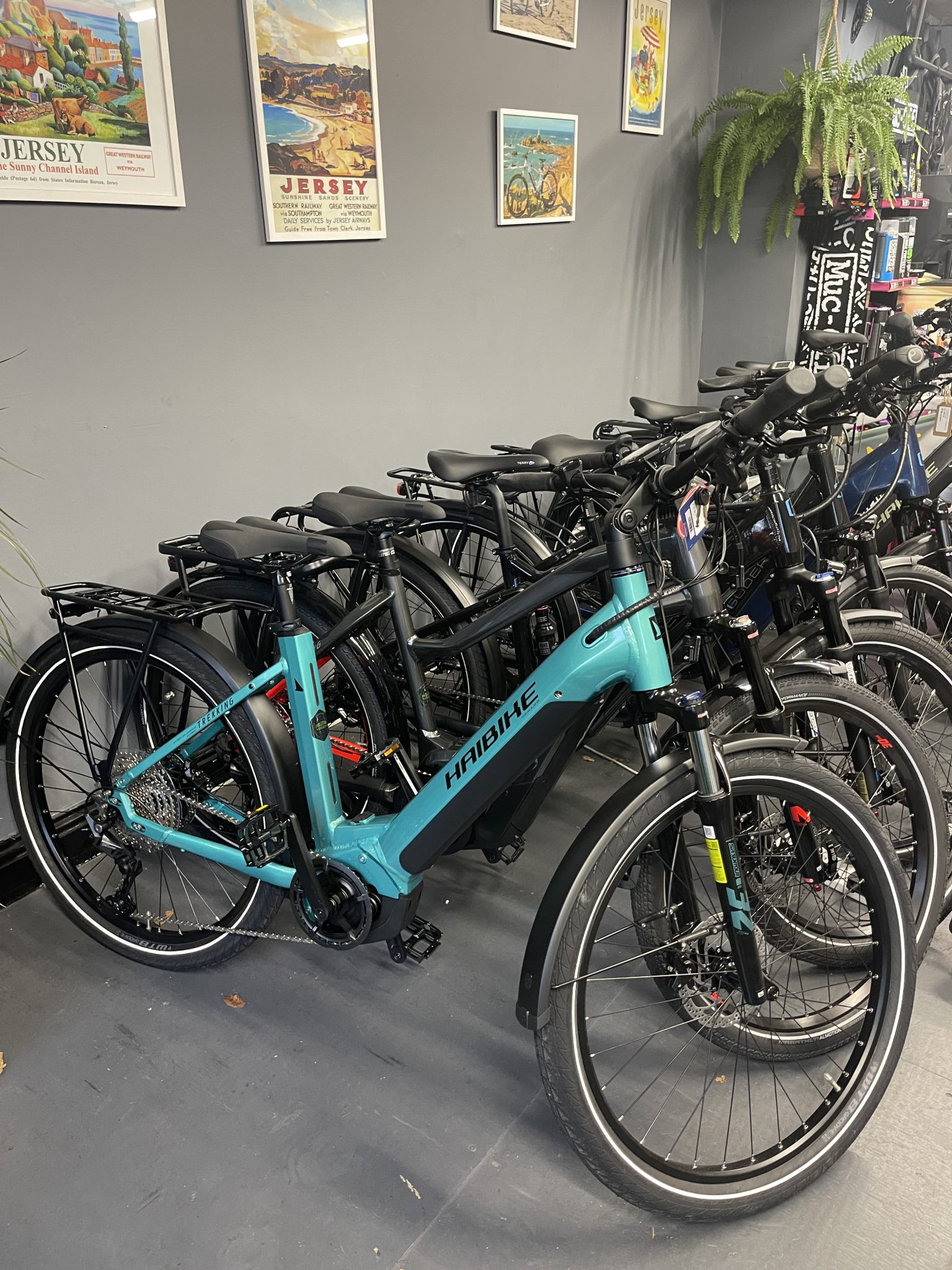 Evolution Cycles Jersey - Bike Shop & Hire - Vibrant Jersey