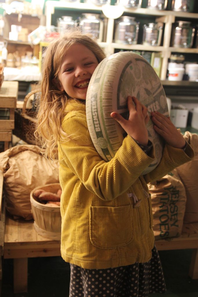 The Sustainable Cooperative (SCOOP) - Vibrant Jersey