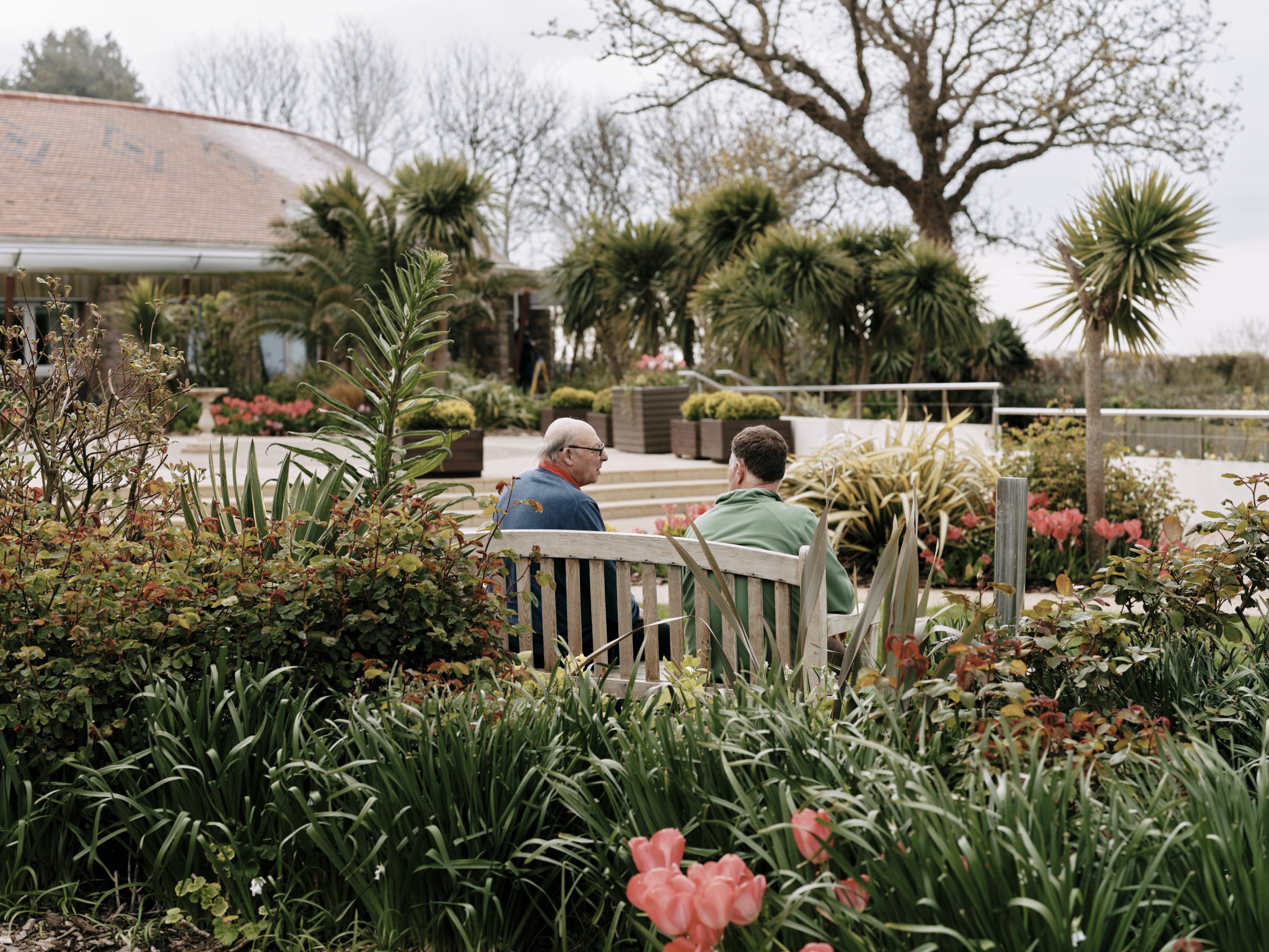 Jersey Hospice Care - Vibrant Jersey