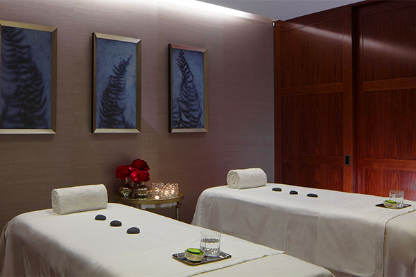 Luxury/Spa Hotels